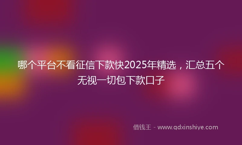 哪个平台不看征信下款快2025年精选，汇总五个无视一切包下款口子