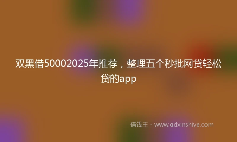 双黑借50002025年推荐，整理五个秒批网贷轻松贷的app