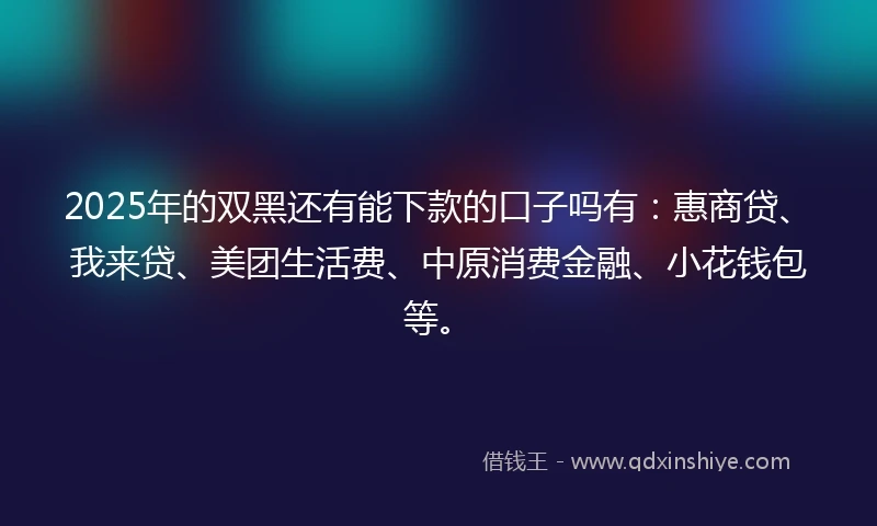 2025年的双黑还有能下款的口子吗有：惠商贷、我来贷、美团生活费、中原消费金融、小花钱包等。