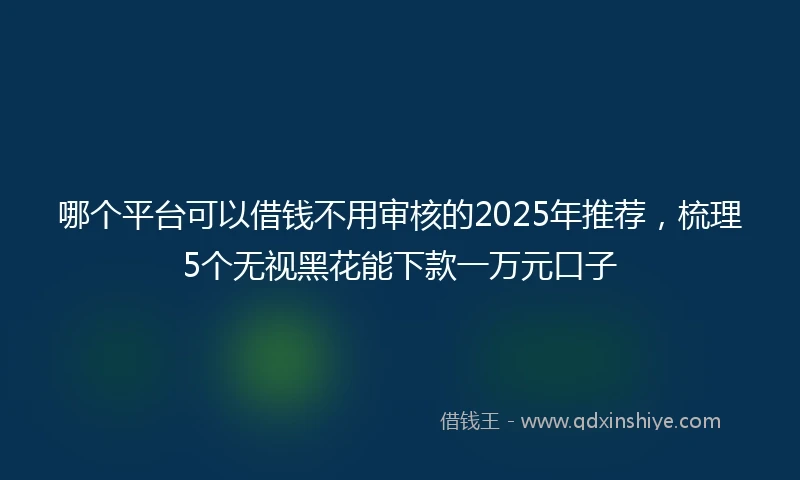 哪个平台可以借钱不用审核的2025年推荐，梳理5个无视黑花能下款一万元口子