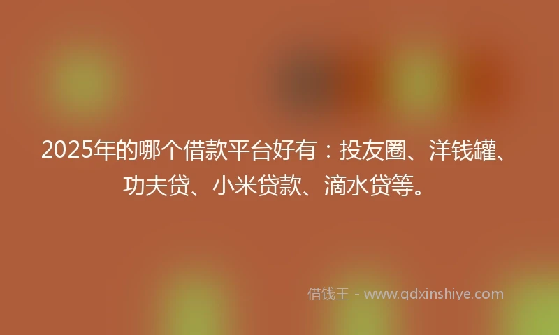 2025年的哪个借款平台好有：投友圈、洋钱罐、功夫贷、小米贷款、滴水贷等。
