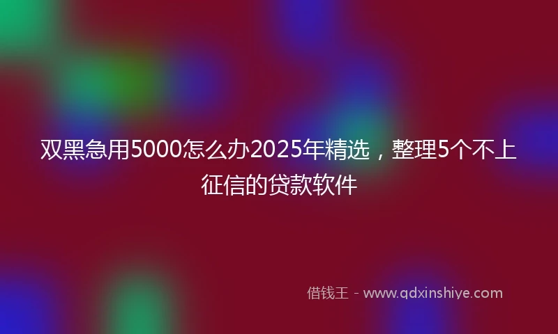 双黑急用5000怎么办2025年精选，整理5个不上征信的贷款软件
