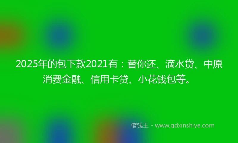 2025年的包下款2021有：替你还、滴水贷、中原消费金融、信用卡贷、小花钱包等。