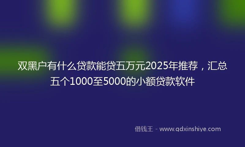 双黑户有什么贷款能贷五万元2025年推荐，汇总五个1000至5000的小额贷款软件