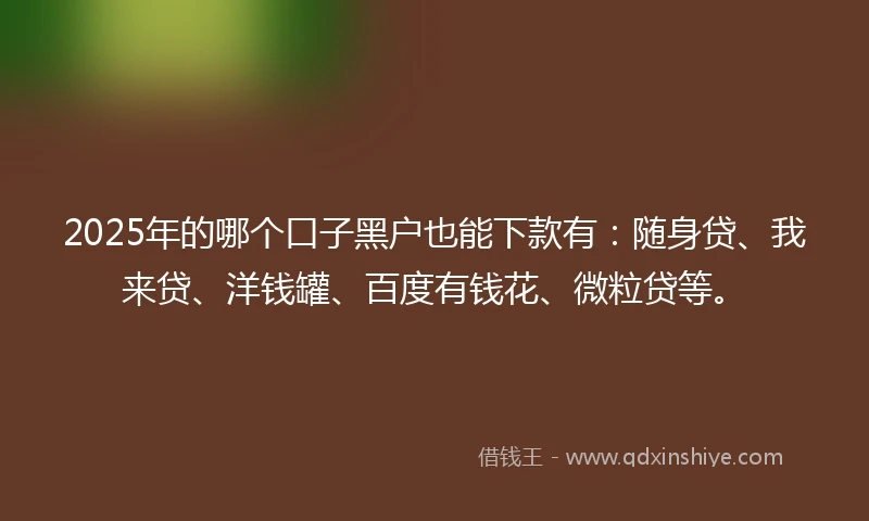 2025年的哪个口子黑户也能下款有：随身贷、我来贷、洋钱罐、百度有钱花、微粒贷等。