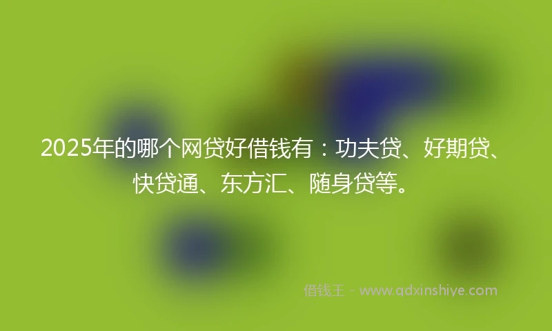 2025年的哪个网贷好借钱有：功夫贷、好期贷、快贷通、东方汇、随身贷等。