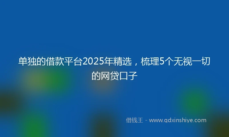 单独的借款平台2025年精选，梳理5个无视一切的网贷口子