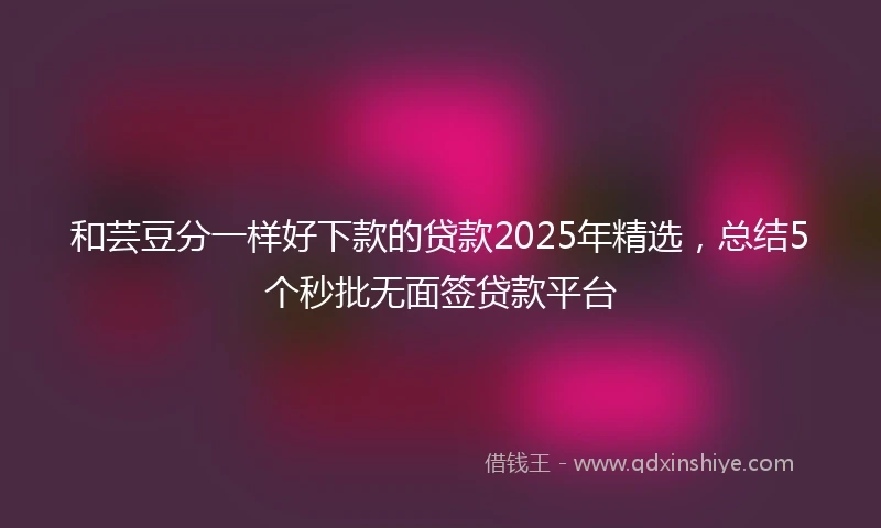 和芸豆分一样好下款的贷款2025年精选，总结5个秒批无面签贷款平台