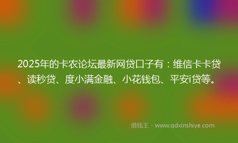 2025年的卡农论坛最新网贷口子有：维信卡卡贷、读秒贷、度小满金融、小花钱包、平安i贷等。