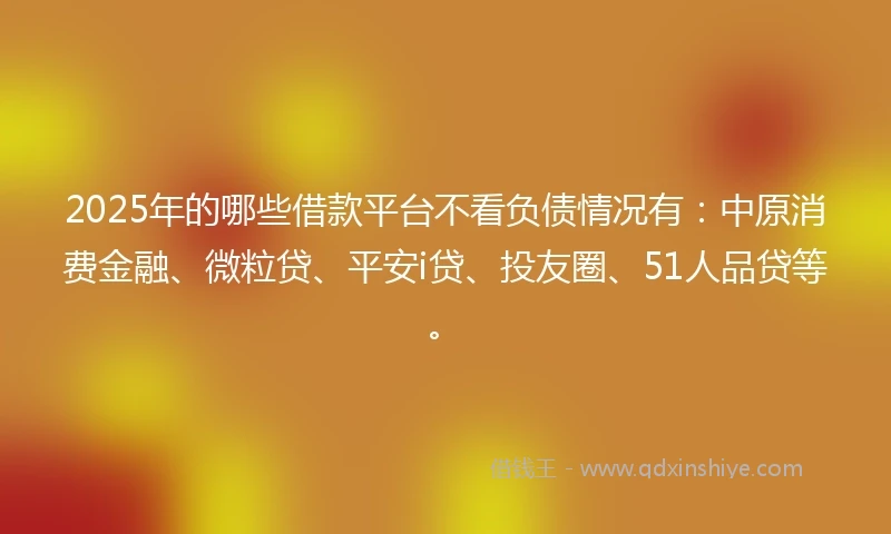 2025年的哪些借款平台不看负债情况有：中原消费金融、微粒贷、平安i贷、投友圈、51人品贷等。