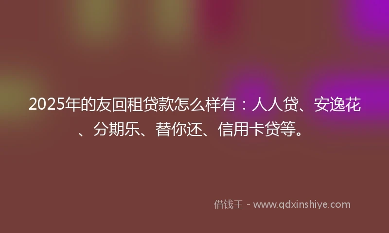 2025年的友回租贷款怎么样有：人人贷、安逸花、分期乐、替你还、信用卡贷等。