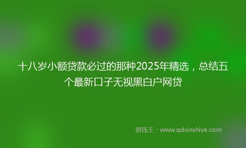 十八岁小额贷款必过的那种2025年精选，总结五个最新口子无视黑白户网贷