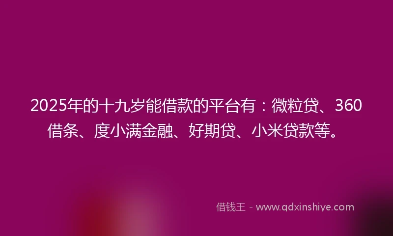 2025年的十九岁能借款的平台有：微粒贷、360借条、度小满金融、好期贷、小米贷款等。