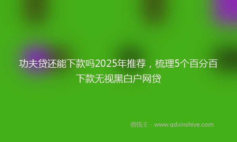 功夫贷还能下款吗2025年推荐，梳理5个百分百下款无视黑白户网贷