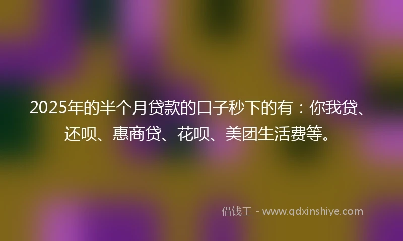 2025年的半个月贷款的口子秒下的有：你我贷、还呗、惠商贷、花呗、美团生活费等。