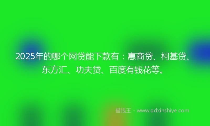 2025年的哪个网贷能下款有：惠商贷、柯基贷、东方汇、功夫贷、百度有钱花等。