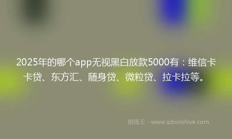 2025年的哪个app无视黑白放款5000有：维信卡卡贷、东方汇、随身贷、微粒贷、拉卡拉等。
