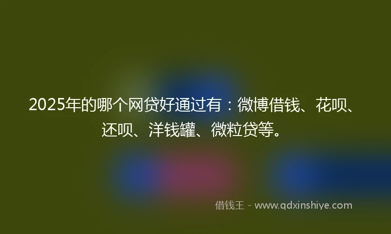 2025年的哪个网贷好通过有：微博借钱、花呗、还呗、洋钱罐、微粒贷等。