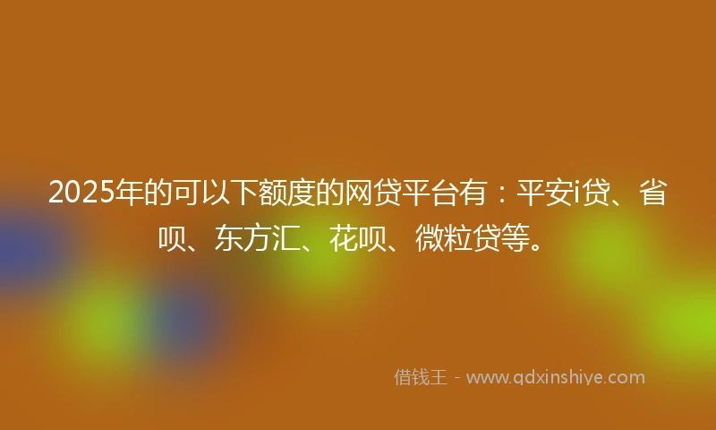 2025年的可以下额度的网贷平台有：平安i贷、省呗、东方汇、花呗、微粒贷等。
