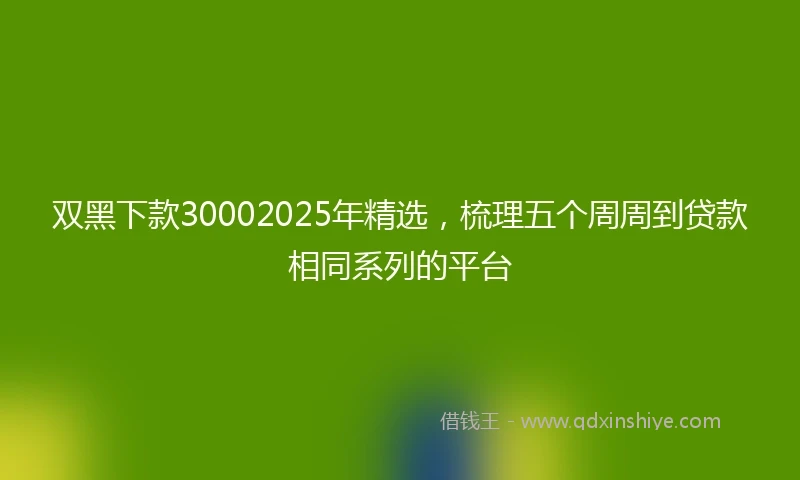 双黑下款30002025年精选，梳理五个周周到贷款相同系列的平台