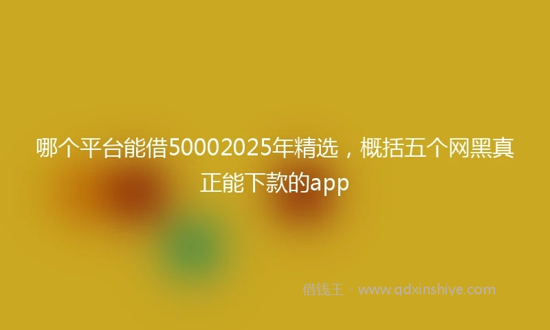 哪个平台能借50002025年精选，概括五个网黑真正能下款的app