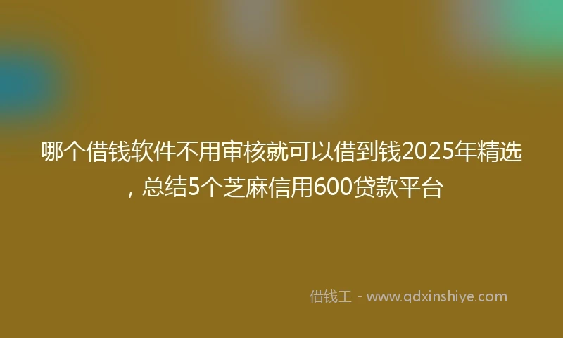 哪个借钱软件不用审核就可以借到钱2025年精选，总结5个芝麻信用600贷款平台