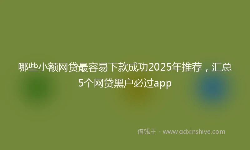 哪些小额网贷最容易下款成功2025年推荐，汇总5个网贷黑户必过app