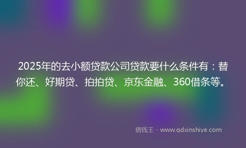 2025年的去小额贷款公司贷款要什么条件有：替你还、好期贷、拍拍贷、京东金融、360借条等。
