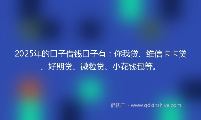2025年的口子借钱口子有：你我贷、维信卡卡贷、好期贷、微粒贷、小花钱包等。