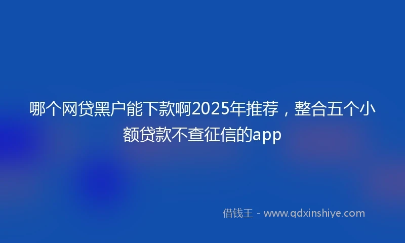 哪个网贷黑户能下款啊2025年推荐，整合五个小额贷款不查征信的app