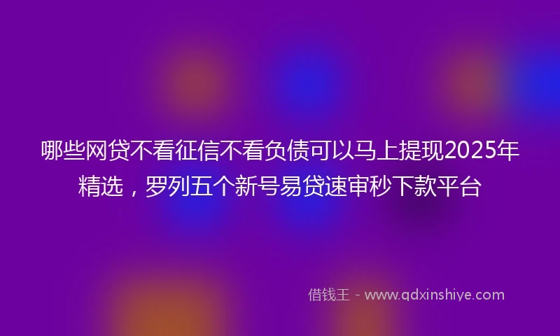 哪些网贷不看征信不看负债可以马上提现2025年精选,罗列五个新号易贷速审秒下款平台
