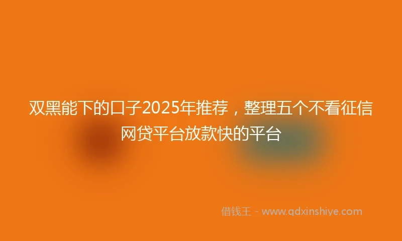 双黑能下的口子2025年推荐，整理五个不看征信网贷平台放款快的平台