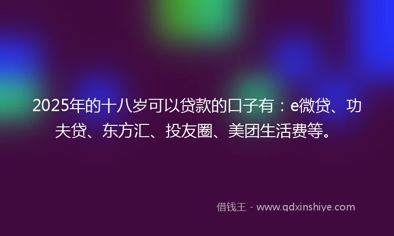 2025年的十八岁可以贷款的口子有：e微贷、功夫贷、东方汇、投友圈、美团生活费等。