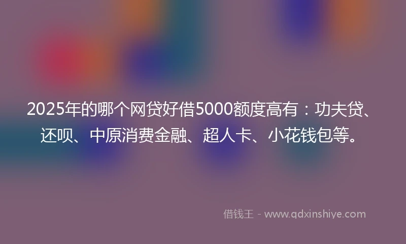 2025年的哪个网贷好借5000额度高有：功夫贷、还呗、中原消费金融、超人卡、小花钱包等。
