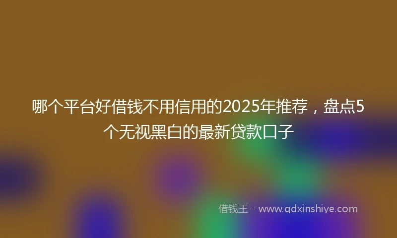 哪个平台好借钱不用信用的2025年推荐，盘点5个无视黑白的最新贷款口子
