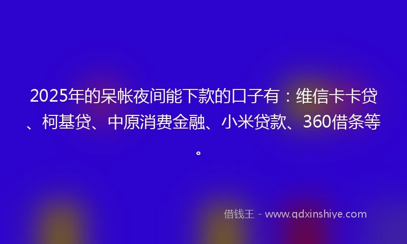 2025年的呆帐夜间能下款的口子有：维信卡卡贷、柯基贷、中原消费金融、小米贷款、360借条等。