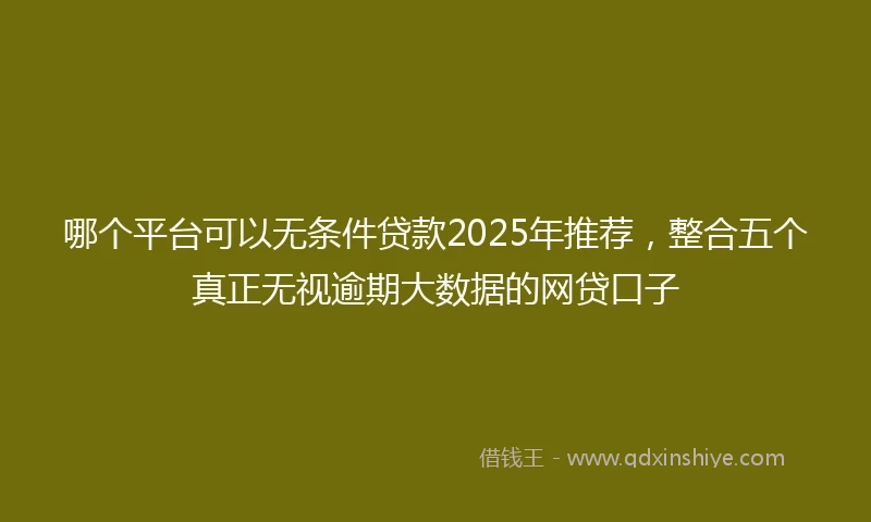 哪个平台可以无条件贷款2025年推荐，整合五个真正无视逾期大数据的网贷口子