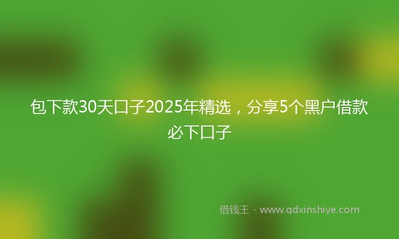 包下款30天口子2025年精选，分享5个黑户借款必下口子