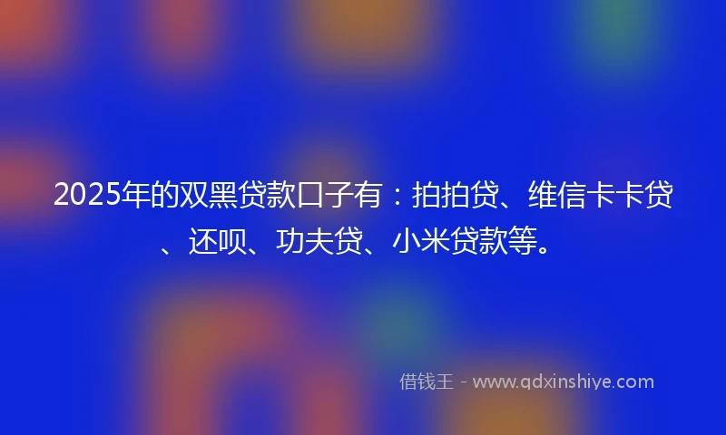 2025年的双黑贷款口子有：拍拍贷、维信卡卡贷、还呗、功夫贷、小米贷款等。