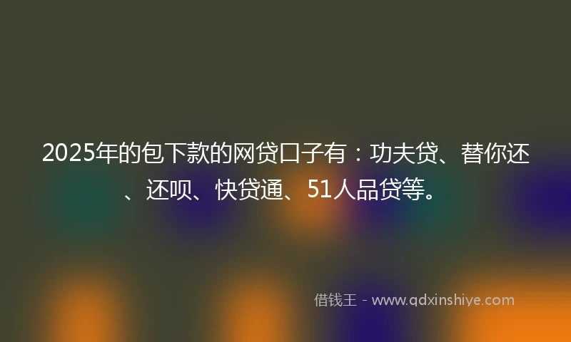 2025年的包下款的网贷口子有：功夫贷、替你还、还呗、快贷通、51人品贷等。