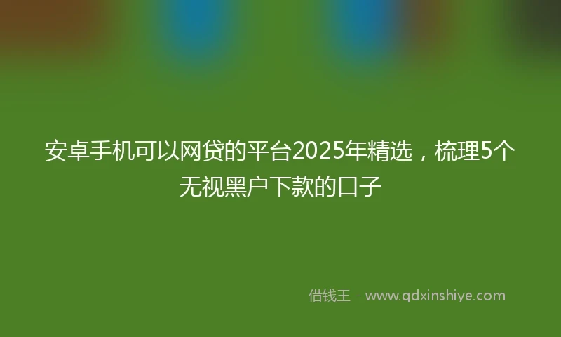 安卓手机可以网贷的平台2025年精选，梳理5个无视黑户下款的口子