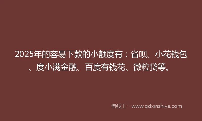 2025年的容易下款的小额度有：省呗、小花钱包、度小满金融、百度有钱花、微粒贷等。