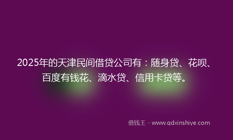 2025年的天津民间借贷公司有：随身贷、花呗、百度有钱花、滴水贷、信用卡贷等。