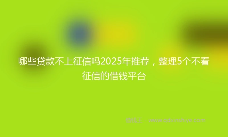 哪些贷款不上征信吗2025年推荐，整理5个不看征信的借钱平台