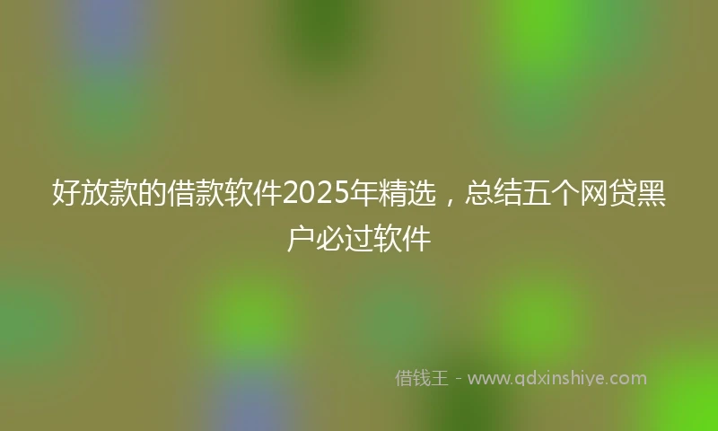好放款的借款软件2025年精选，总结五个网贷黑户必过软件