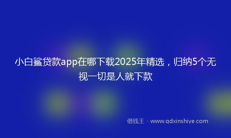 小白鲨贷款app在哪下载2025年精选，归纳5个无视一切是人就下款