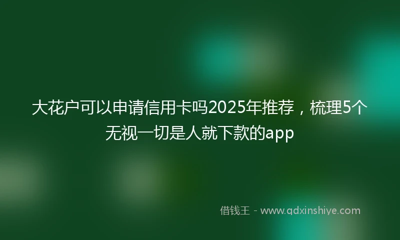大花户可以申请信用卡吗2025年推荐，梳理5个无视一切是人就下款的app