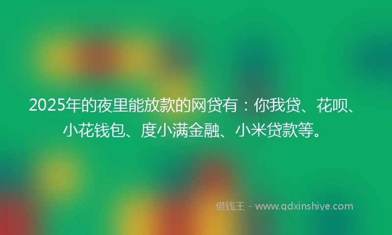 2025年的夜里能放款的网贷有：你我贷、花呗、小花钱包、度小满金融、小米贷款等。