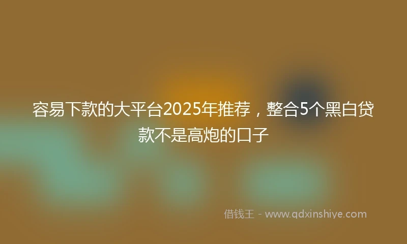 容易下款的大平台2025年推荐，整合5个黑白贷款不是高炮的口子