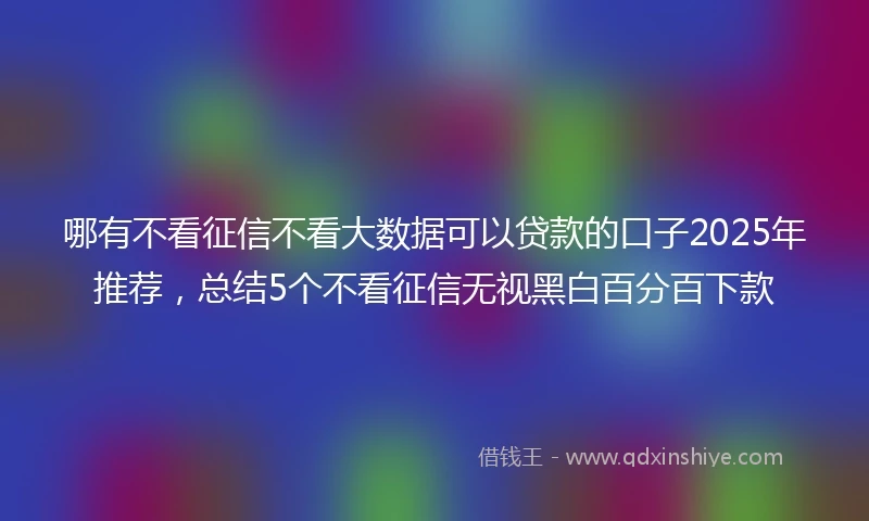 哪有不看征信不看大数据可以贷款的口子2025年推荐，总结5个不看征信无视黑白百分百下款